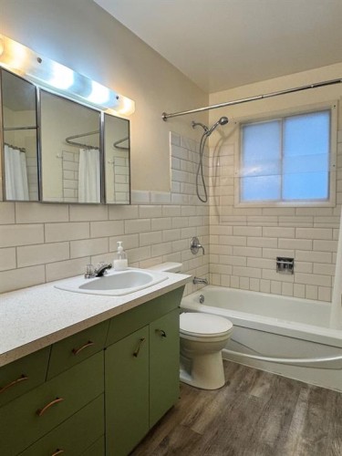 10713 105 Avenue, Fairview, AB - Indoor Photo Showing Bathroom