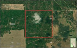 Range Road 231  Rural Greenview No. 16, M.D. Of, AB T0H 3N0
