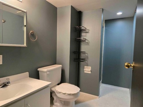 21 Pan Am Street, Swan Hills, AB - Indoor Photo Showing Bathroom