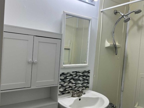 10104 99 Street, High Level, AB - Indoor Photo Showing Bathroom