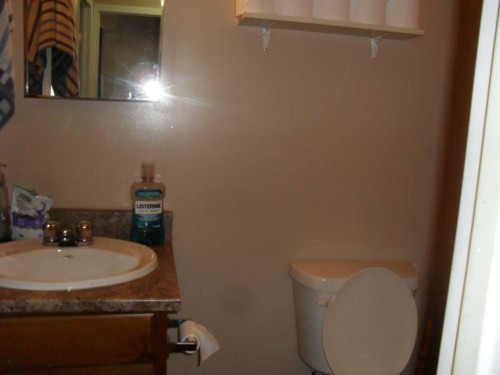 406 3 Street Nw, Manning, AB - Indoor Photo Showing Bathroom