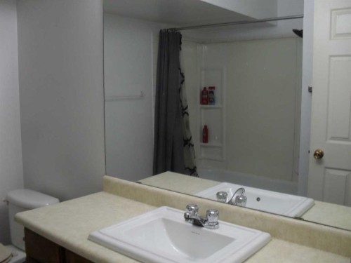406 3 Street Nw, Manning, AB - Indoor Photo Showing Bathroom