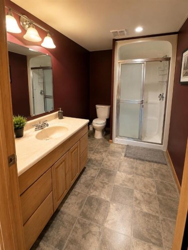 74001-740 Township, High Prairie, AB - Indoor Photo Showing Bathroom