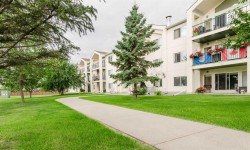 311A-9111 104 Avenue Grande Prairie, AB T8X 1K7