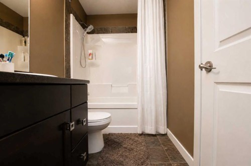 9501 88A Street, Grande Prairie, AB - Indoor Photo Showing Bathroom