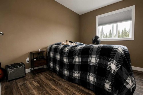 9501 88A Street, Grande Prairie, AB - Indoor Photo Showing Bedroom