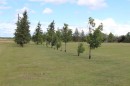 17A 232051 920 Township, Rural Northern Lights, County Of, AB  - Outdoor With View 