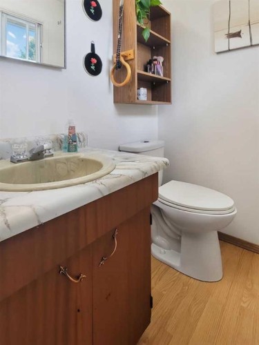 727 Oak Drive, Beaverlodge, AB - Indoor Photo Showing Bathroom