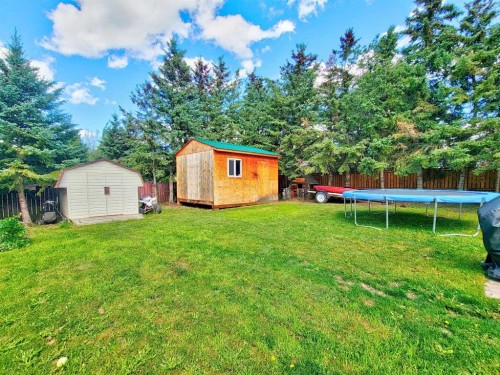 727 Oak Drive, Beaverlodge, AB - Outdoor With Backyard