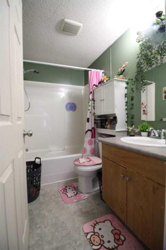 9 Deerridge Drive, High Level, AB - Indoor Photo Showing Bathroom