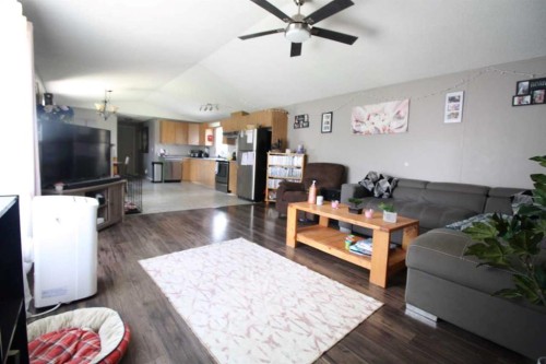 9 Deerridge Drive, High Level, AB - Indoor Photo Showing Living Room