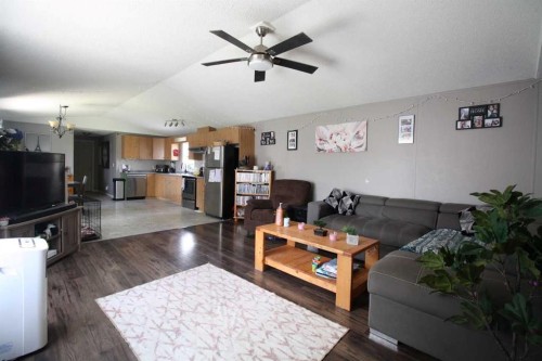 9 Deerridge Drive, High Level, AB - Indoor Photo Showing Living Room