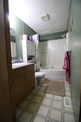 9 Deerridge Drive, High Level, AB - Indoor Photo Showing Bathroom