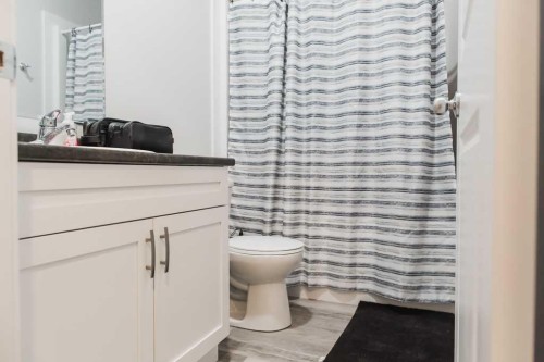 9514 112, Clairmont, AB - Indoor Photo Showing Bathroom