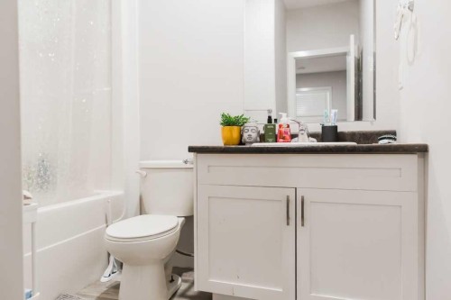 9514 112, Clairmont, AB - Indoor Photo Showing Bathroom