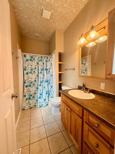 11106 107 Ave, La Crete, AB - Indoor Photo Showing Bathroom