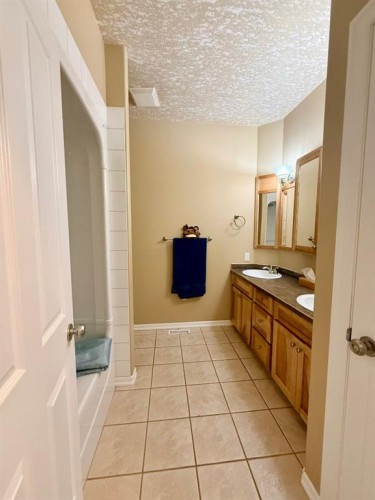 11106 107 Ave, La Crete, AB - Indoor Photo Showing Bathroom