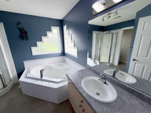 861023 Rr 214, Rural Northern Lights, County Of, AB - Indoor Photo Showing Bathroom