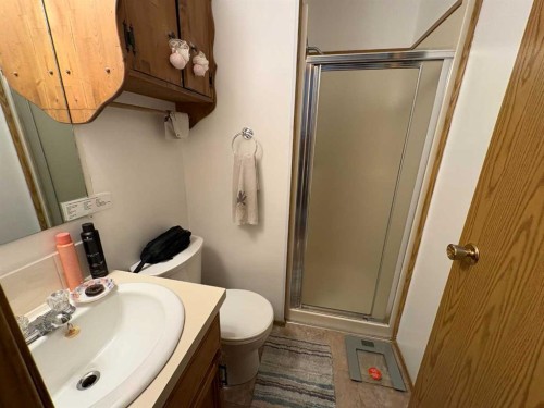 10313 89 Street, Peace River, AB - Indoor Photo Showing Bathroom