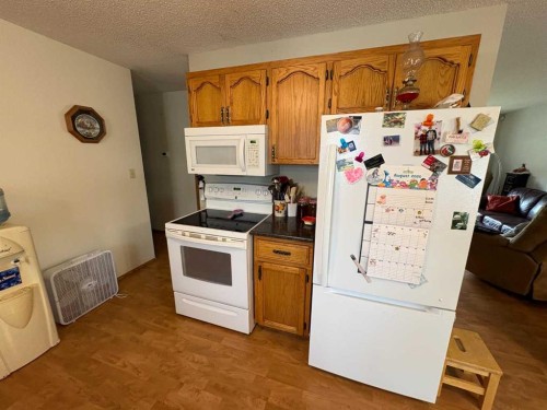 10313 89 Street, Peace River, AB - Indoor Photo Showing Kitchen