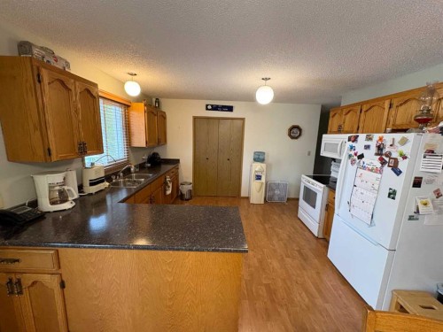 10313 89 Street, Peace River, AB - Indoor Photo Showing Kitchen With Double Sink