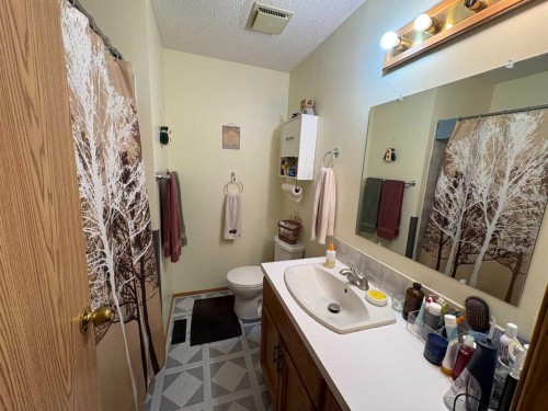 10313 89 Street, Peace River, AB - Indoor Photo Showing Bathroom