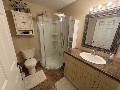 10032 102 Street, Peace River, AB - Indoor Photo Showing Bathroom