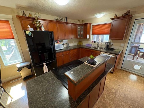 10032 102 Street, Peace River, AB - Indoor Photo Showing Kitchen With Double Sink