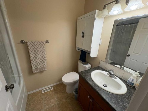 10032 102 Street, Peace River, AB - Indoor Photo Showing Bathroom