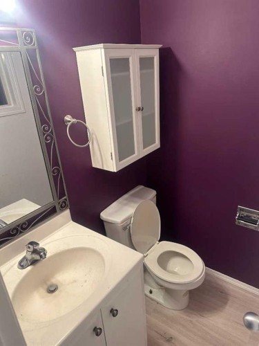 4805 55 Avenue, Valleyview, AB - Indoor Photo Showing Bathroom