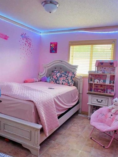 32 Dragonfly Crescent, High Level, AB - Indoor Photo Showing Bedroom