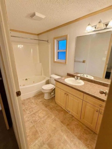32 Dragonfly Crescent, High Level, AB - Indoor Photo Showing Bathroom