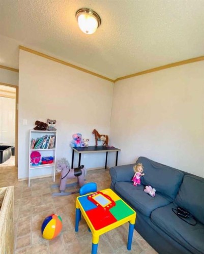 32 Dragonfly Crescent, High Level, AB - Indoor