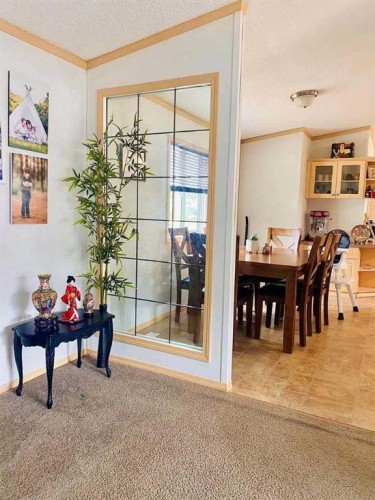 32 Dragonfly Crescent, High Level, AB - Indoor