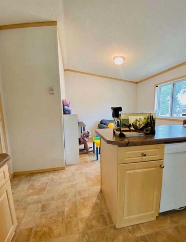 32 Dragonfly Crescent, High Level, AB - Indoor