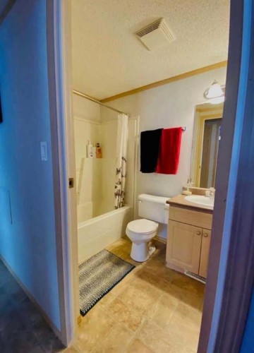 32 Dragonfly Crescent, High Level, AB - Indoor Photo Showing Bathroom