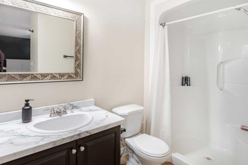 10602 101 Ave, Hythe, AB - Indoor Photo Showing Bathroom