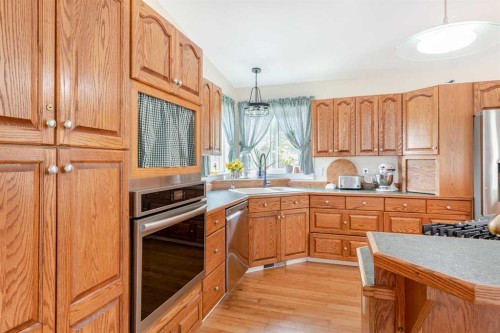 10602 101 Ave, Hythe, AB - Indoor Photo Showing Kitchen With Double Sink