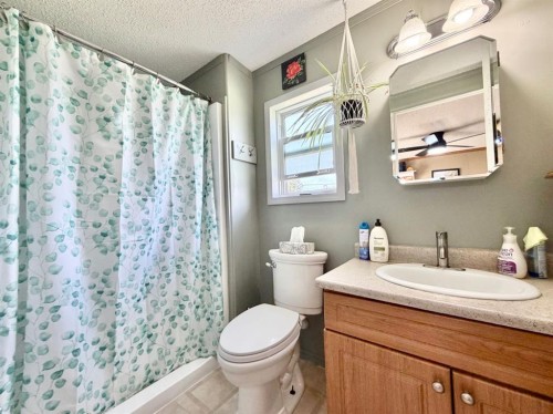 4612 48 Street, Rycroft, AB - Indoor Photo Showing Bathroom