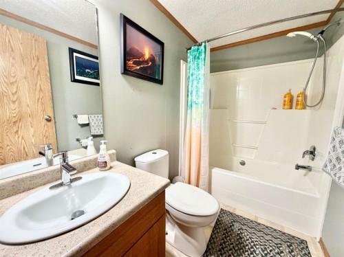 4612 48 Street, Rycroft, AB - Indoor Photo Showing Bathroom