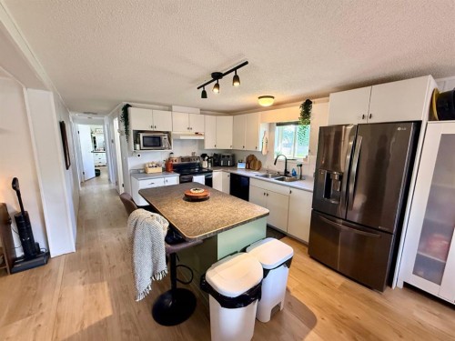 10629 101 Ave, La Crete, AB - Indoor Photo Showing Kitchen With Double Sink