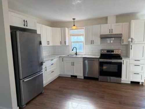 10205 103 Street, High Level, AB - Indoor Photo Showing Kitchen With Stainless Steel Kitchen With Upgraded Kitchen