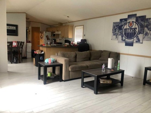 22 Dewberry Road, High Level, AB - Indoor Photo Showing Living Room