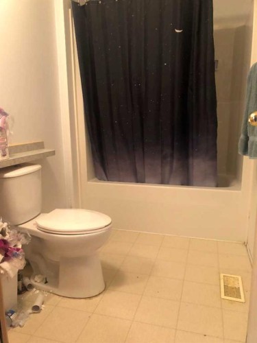 22 Dewberry Road, High Level, AB - Indoor Photo Showing Bathroom