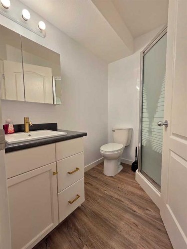 37 Pinnacle Crescent, Grande Prairie, AB - Indoor Photo Showing Bathroom