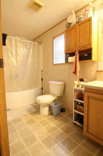 45 Dragonfly Crescent, High Level, AB - Indoor Photo Showing Bathroom
