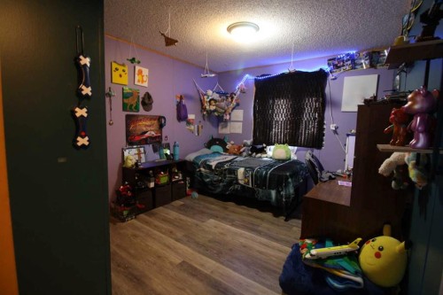 45 Dragonfly Crescent, High Level, AB - Indoor