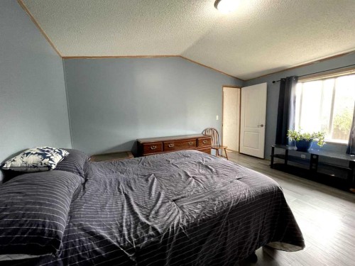 18 Dragonfly Crescent, High Level, AB - Indoor Photo Showing Bedroom