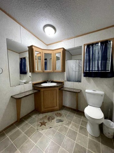 18 Dragonfly Crescent, High Level, AB - Indoor Photo Showing Bathroom