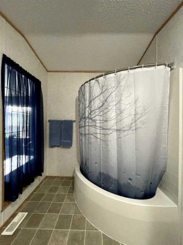 18 Dragonfly Crescent, High Level, AB - Indoor Photo Showing Bathroom